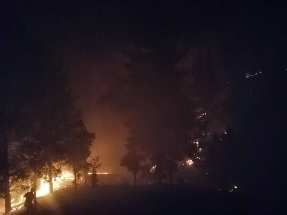 Malatya'da çıkan orman yangını söndürüldü