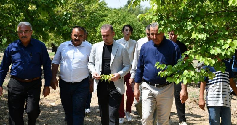 Karademir'den Kayısı İçin Acil Destek Çağrısı