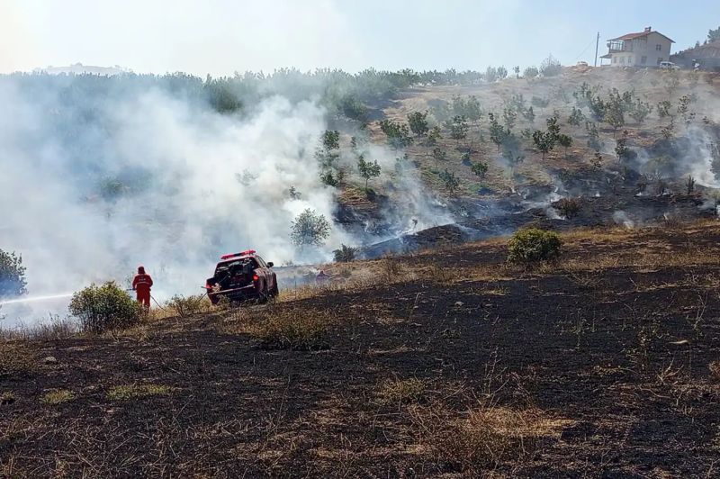 Malatya'da bir orman yangını daha