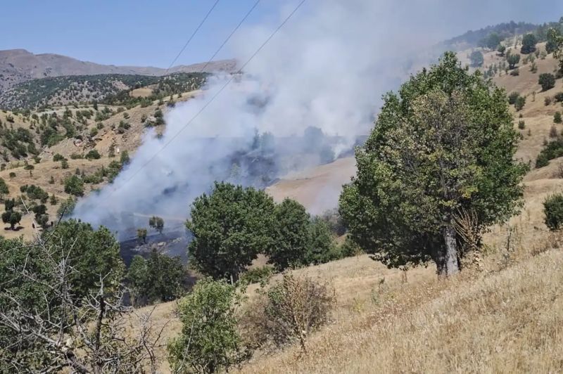 Malatya'da orman yangını: Soğutma çalışmaları sürüyor