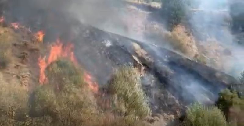 Pütürge’de Yerleşim Alanına Yakın Bölgede Yangın Çıktı