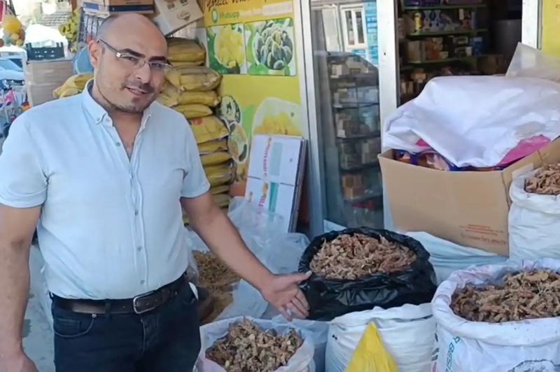 Hasadı başlayan 'sumak' ın kilosu 350 TL'den satılıyor