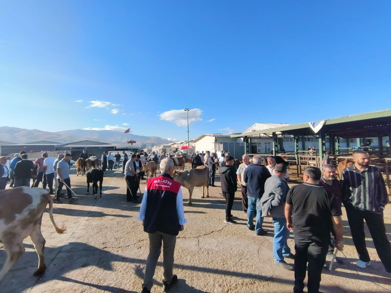 Malatya’da Hayvan Pazarı Yeniden Açıldı