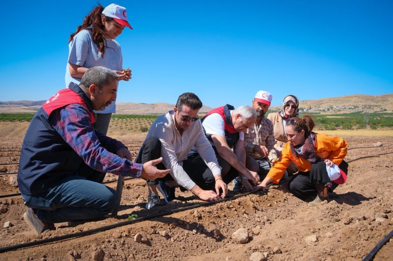 Kuluncak’ta Organik Çilek Üretimi İçin Fide Dağıtımı Gerçekleştirildi