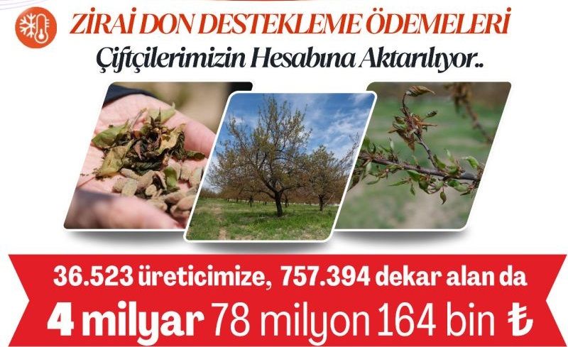 Ve Çifçinin Dört Gözle Beklediği Zirai Don Destek Ödemeleri Başladı