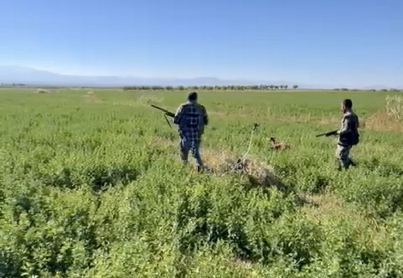 Malatya’da av sezonu sıkıntılı başlıyor: Avcılardan çağrı