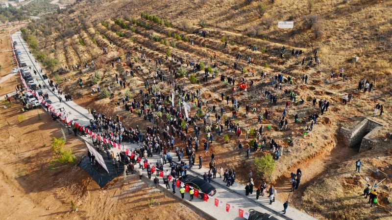 Deprem Şehitleri Hatıra Ormanı Yenileniyor