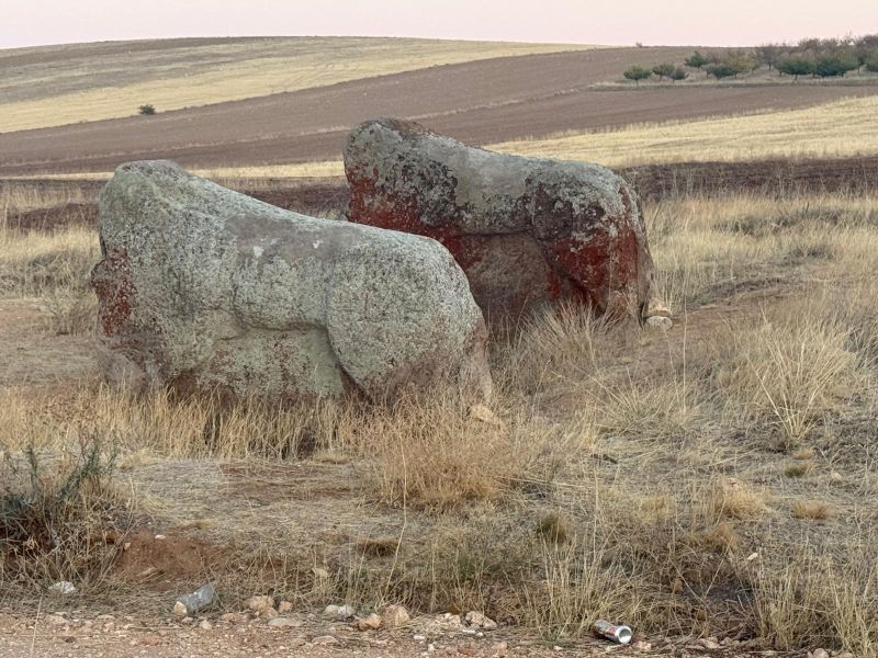 Aslantaşlar Yerinde Kalacak: Taşıma Kararı İptal Edildi