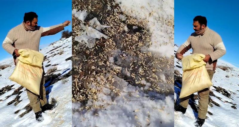 Arapgir’de Duyarlı Vatandaştan Doğaya Örnek Davranış