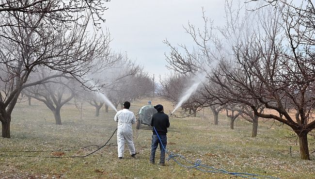 Malatya’da Kayısı Üreticilerine İlkbahar Uyarısı