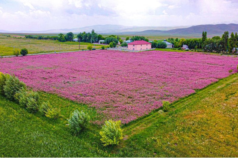 Tarım Arazilerinde İzinsiz Yapılaşma Yasağı Yürürlüğe Girdi