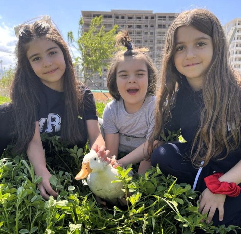 Okulda Şiddete Karşı Örnek Model