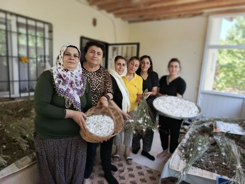 Hekimhanlı Kadınlar İpek Böceği Yetiştiriciliğine Yöneliyor