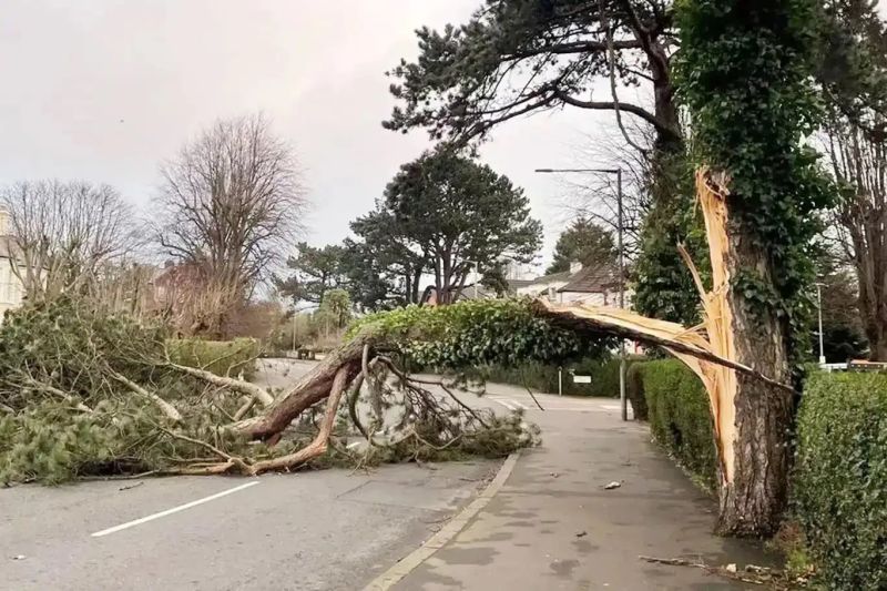 Meteoroloji'den Kuvvetli Rüzgâr Uyarısı
