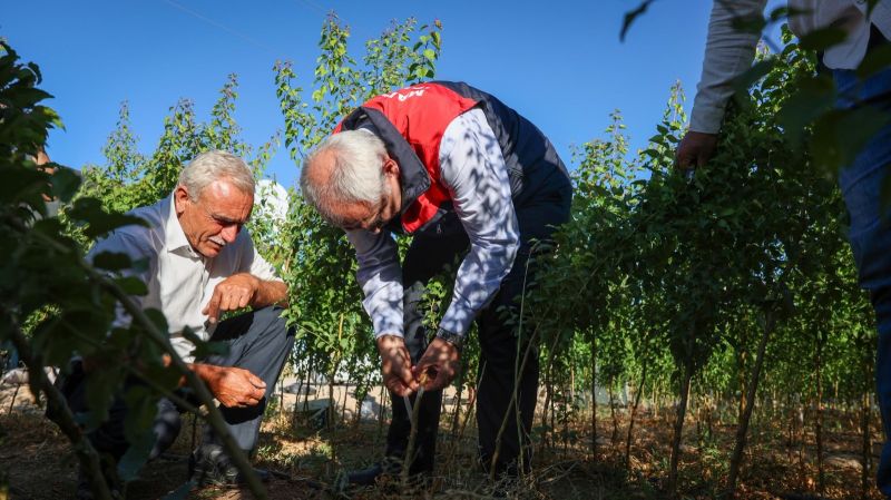 Malatya’da Yılda 850 Bin Sertifikalı Fidan Üretiliyor