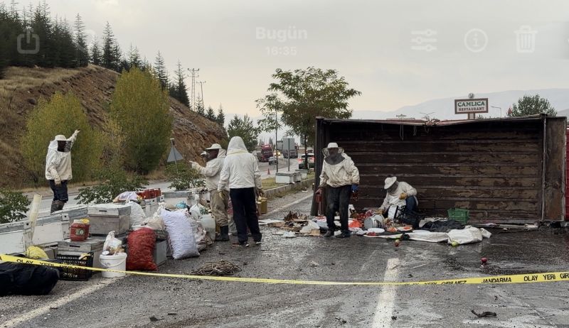 Malatya’da Arı Yüklü Kamyon Devrildi: 3 Yaralı