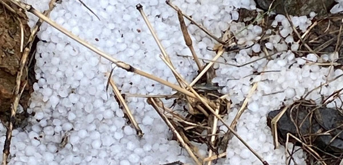 Ağbaba "Geçmiş Olsun Malatya"