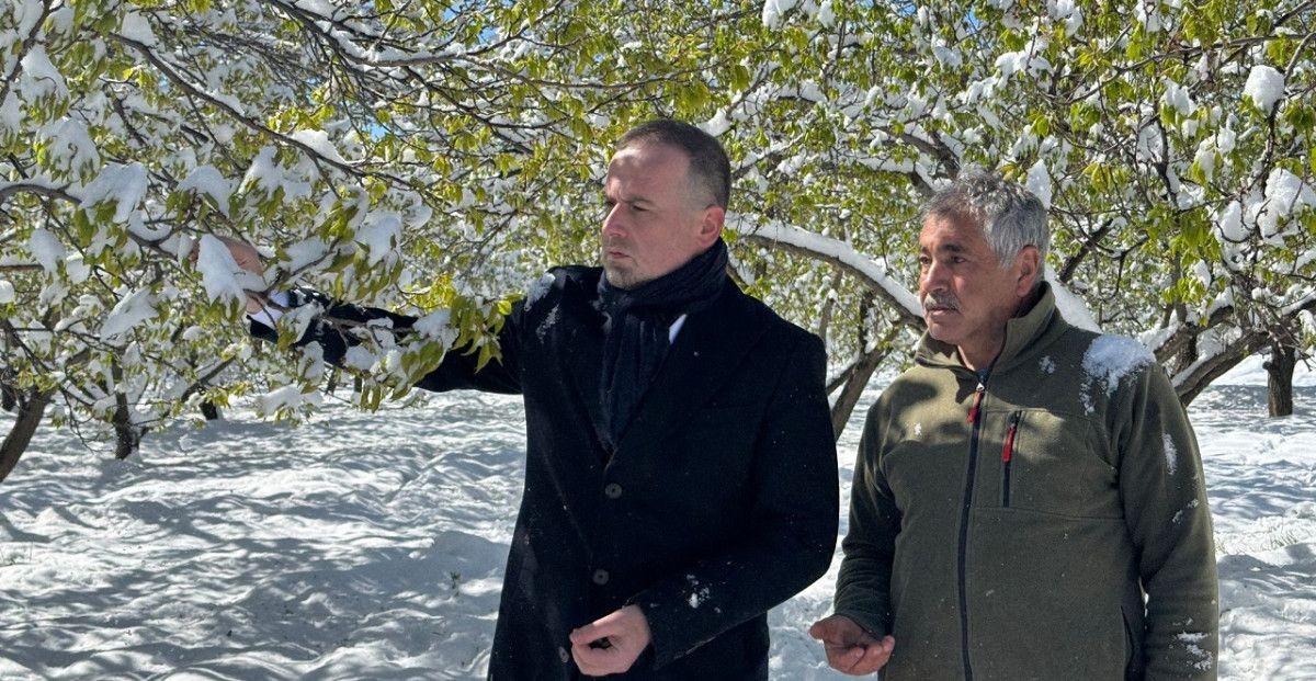 Çiftçinin Kâbusu: Bir Gecede Umutlar Söndü