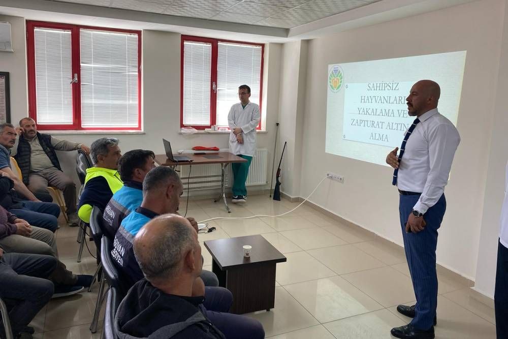 Sahipsiz hayvanlara yaklaşma ve müdahale teknikleri eğitimi verildi
