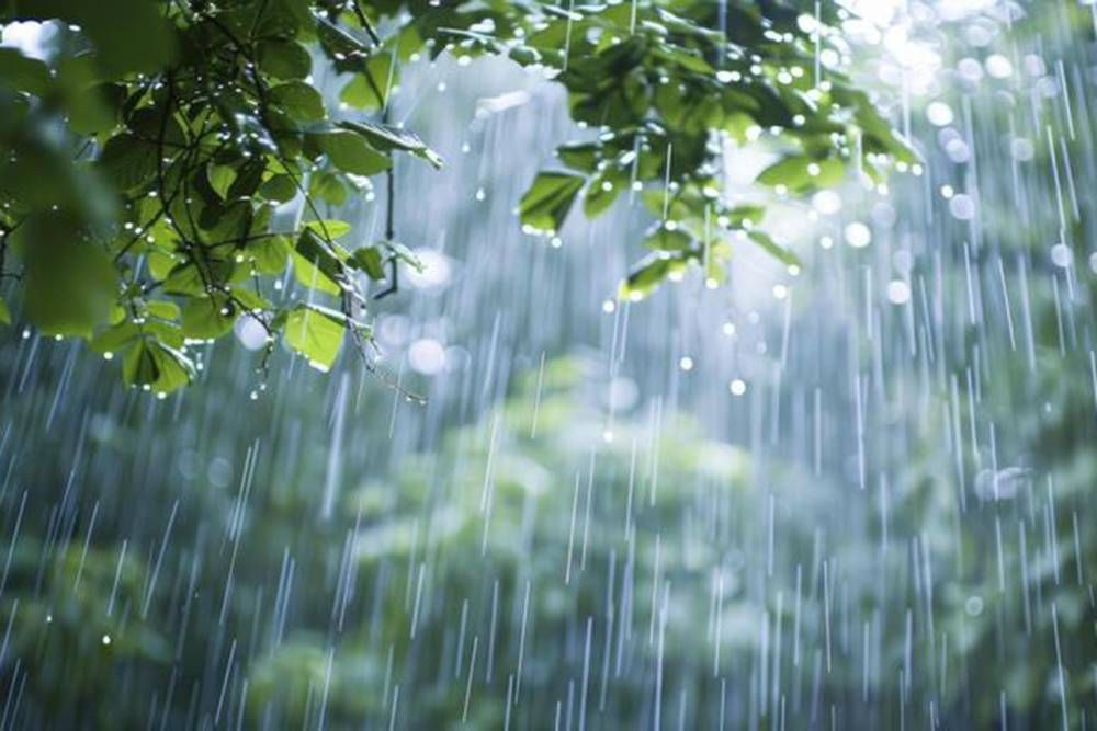 Meteorolojiden 16 il için sarı kodlu alarm!