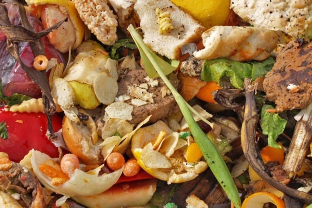 Gelir düzeyi arttıkça gıda ürünlerini çöpe atarak israf etme sıklığı arttı