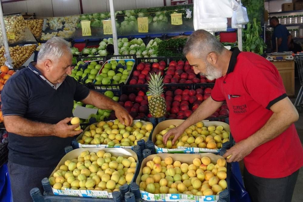 Don vurdu, fiyatlar uçtu: Malatya'nın kayısısı kırmızı etle yarışıyor