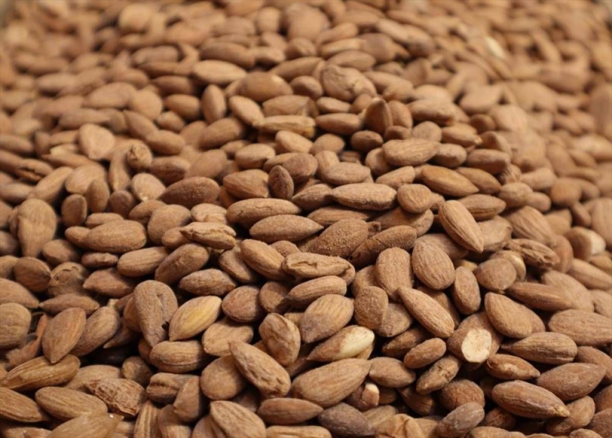 Tescilli Kayısı Çekirdeği İhracatından 2023'te 16 Milyon Dolarlık Gelir