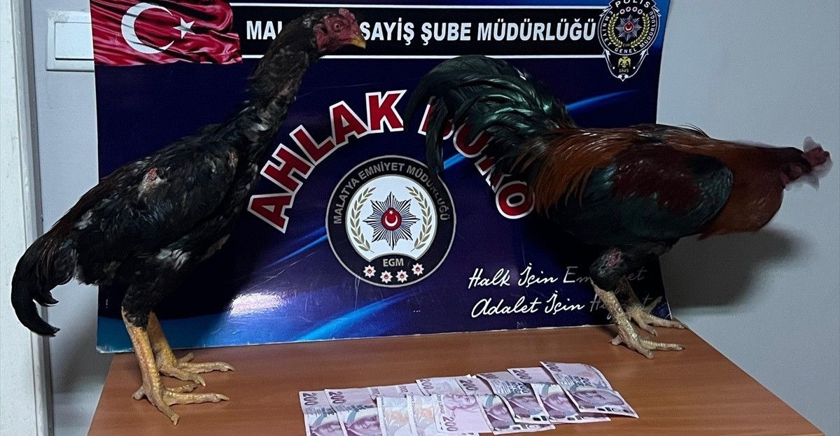 Malatya'da horoz dövüştüren 9 kişiye 57 bin 825 lira ceza