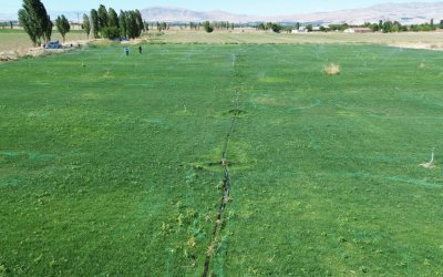 Battalgazi’de Yerli Üretimle Yeşil Alan Seferberliği