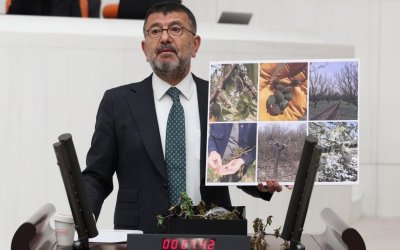 Ağbaba; “İktidar Çiftçiyi Don Vurduğu Gibi Vurdu”