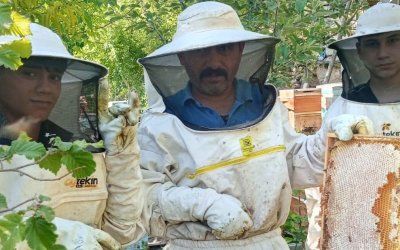 Darende balının sırrı keven ve kekik