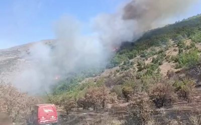 Doğanyol'daki orman yangını söndürüldü