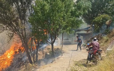 Malatya'da orman yangını: Bir ev alevlerin içerisinde kaldı