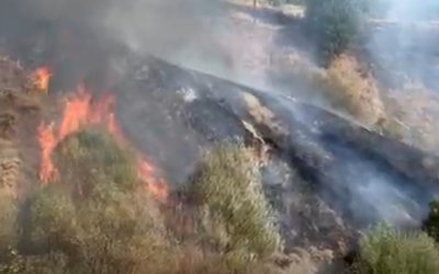 Pütürge’de Yerleşim Alanına Yakın Bölgede Yangın Çıktı