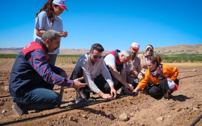 Kuluncak’ta Organik Çilek Üretimi İçin Fide Dağıtımı Gerçekleştirildi