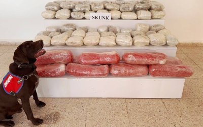 Van'da 61 kilo 900 gram skunk ele geçirildi