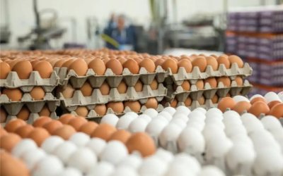 Yumurta tüketiminde sık yapılan 5 büyük hata
