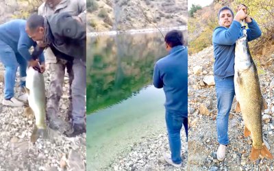 "Oltaya Sığmaz” Dedirten Balık! 32 Kilo 700 Gramlık Balık Barajdan Böyle Çıktı