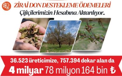 Ve Çifçinin Dört Gözle Beklediği Zirai Don Destek Ödemeleri Başladı