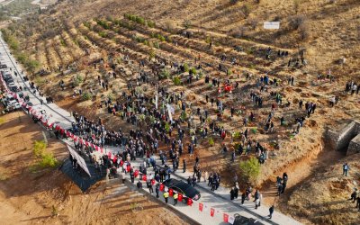 Deprem Şehitleri Hatıra Ormanı Yenileniyor