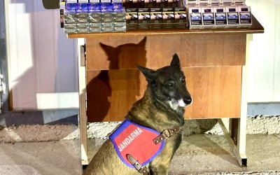 Malatya-Kayseri Yolunda Kaçak Sigara Operasyonu