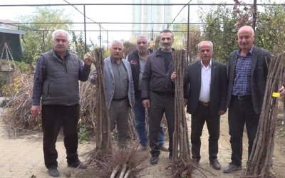 Malatya’da Meyve Fidanı Satış Sezonu Açıldı