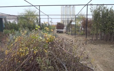 Malatya Fidancıları Afet Sonrası Büyük Kayba Uğradı