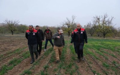 Dünya kayısı başkenti Malatya'da safran üretimi
