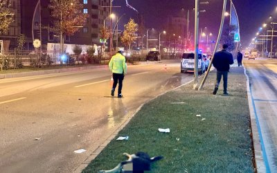 Köpeğe Çarpan Otomobil Kontrolden Çıkıp Refüje Çarptı