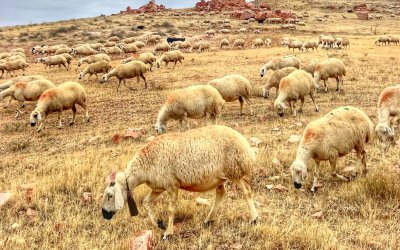 Halk Elinde Islah Projelerine 2,7 Milyar TL Destek