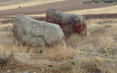 Aslantaşlar Yerinde Kalacak: Taşıma Kararı İptal Edildi