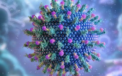 Gıda zehirlenmesi mi viral enfeksiyon mu?