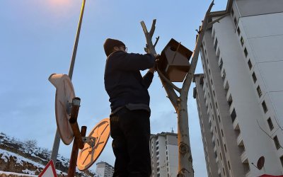Malatya’da Duyarlı Esnaftan Kuşlar İçin Yuva Projesi