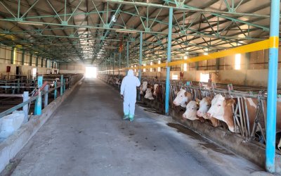 Hayvancılık İşletmeleri Kapasite Belirleme ve TÜRKVET’e Kayıt Çalışmaları Devam Ediyor